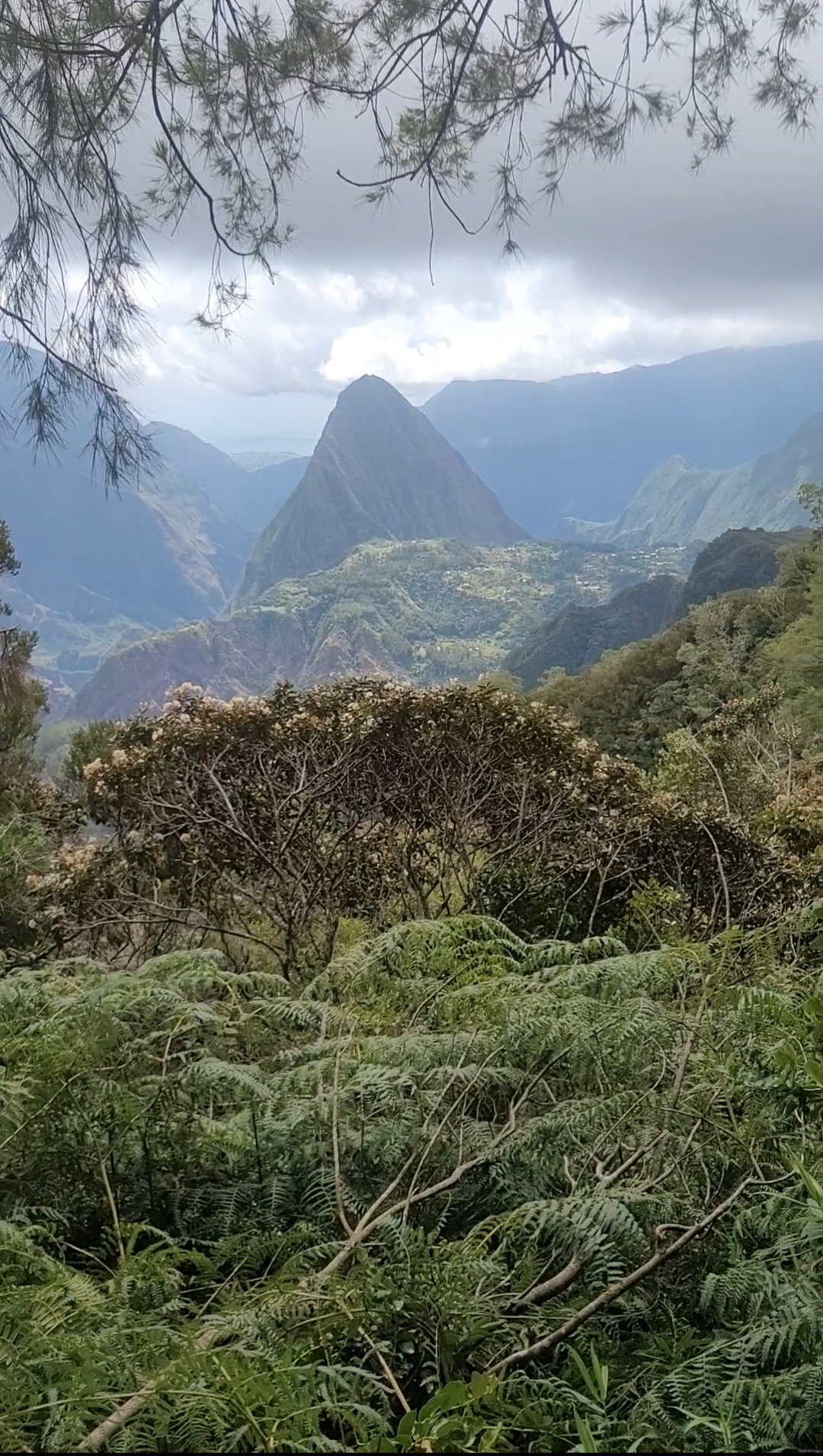 Club association trail saint pierre réunion TFL Is Coming, créateur événement trail ile réunion Club association trail saint pierre réunion TFL Is Coming, créateur événement trail ile réunion